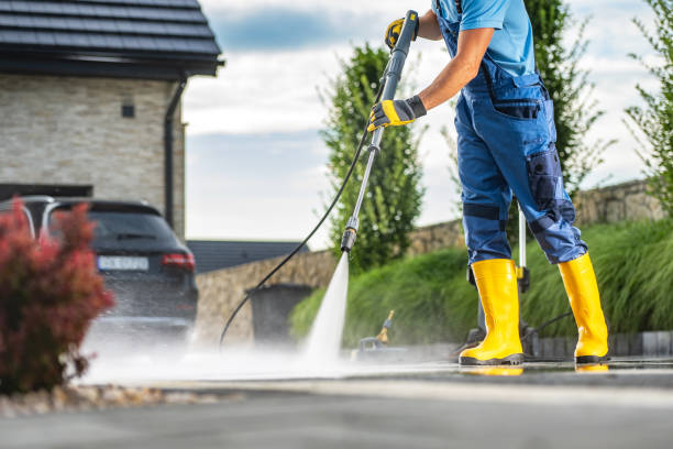 Best Driveway Cleaning and Restoration in Agua Dulce, CA